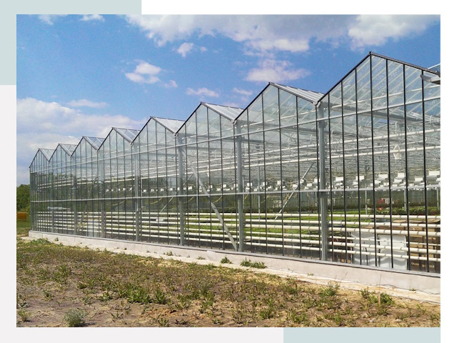Строительство теплиц в Кохма от 623 руб. за м²