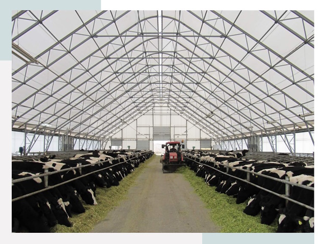 Тентовые коровники в Кохме от 623 руб. - Надежно и доступно