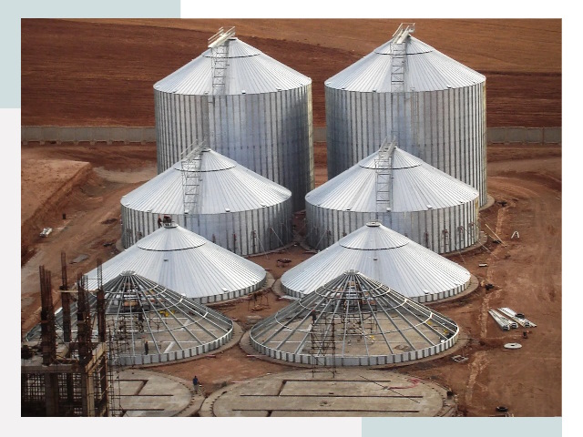 Строительство зерновых силосов в Кохме